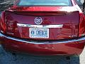License Plate 4